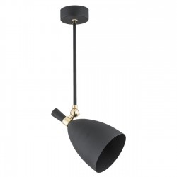 CHARLOTTE 4686 lampa wisząca 1 pł. Argon