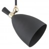 CHARLOTTE 4686 lampa wisząca 1 pł. Argon