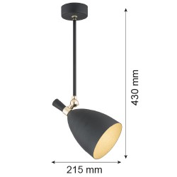 CHARLOTTE 4686 lampa wisząca 1 pł. Argon