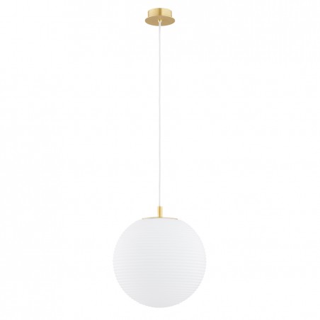 EVANS 8578 lampa wisząca 1 pł. Argon