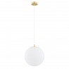 EVANS 8578 lampa wisząca 1 pł. Argon