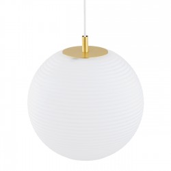 EVANS 8578 lampa wisząca 1 pł. Argon