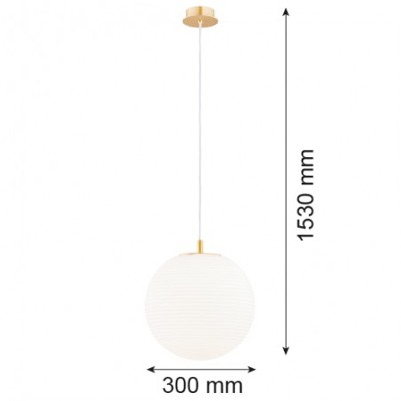 EVANS 8578 lampa wisząca 1 pł. Argon