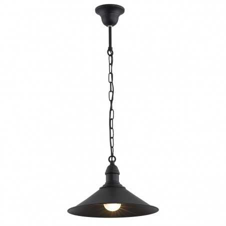ERBA 631 lampa wisząca 1 pł. Argon