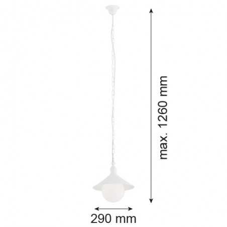 ERBA BIS 3296 lampa wisząca 1 pł. Argon