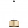 KARIN 4291 lampa wisząca 1 pł. Argon