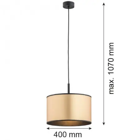 KARIN 4291 lampa wisząca 1 pł. Argon