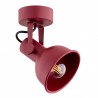 LENORA 8298 kinkiet / plafon 1 pł. Argon