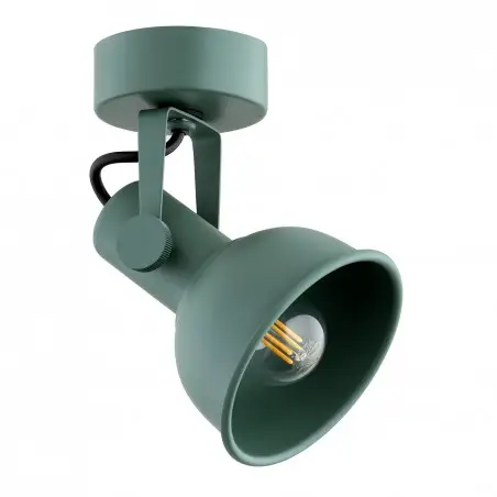 LENORA 8299 kinkiet / plafon 1 pł. Argon