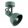 LENORA 8299 kinkiet / plafon 1 pł. Argon