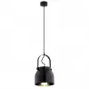 LOGAN 8281 lampa wisząca 1 pł. Argon