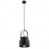 LOGAN 8281 lampa wisząca 1 pł. Argon