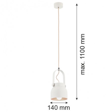 LOGAN 8290 lampa wisząca 1 pł., mniejsza Argon