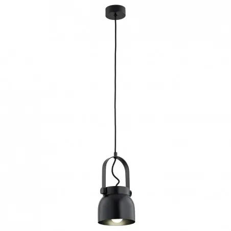 LOGAN 8291 lampa wisząca 1 pł., mniejsza Argon