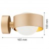 MASSIMO PLUS 8567 kinkiet 1 pł. Argon