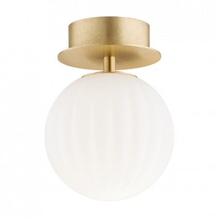 PALOMA 8504 kinkiet / plafon 1 pł., mniejszy Argon
