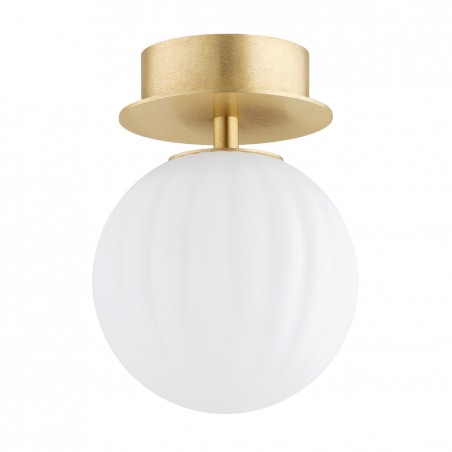 PALOMA 8504 kinkiet / plafon 1 pł., mniejszy Argon