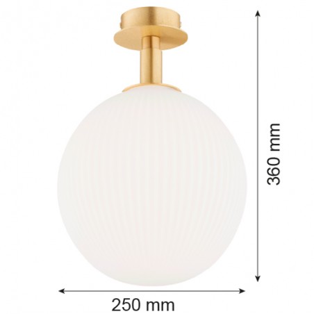PALOMA 8505 kinkiet / plafon 1 pł., wiekszy Argon