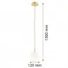 PALOMA 8506 lampa wisząca 1 pł., mniejsza Argon