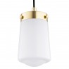PASADENA 8004 lampa wisząca 1 pł. Argon