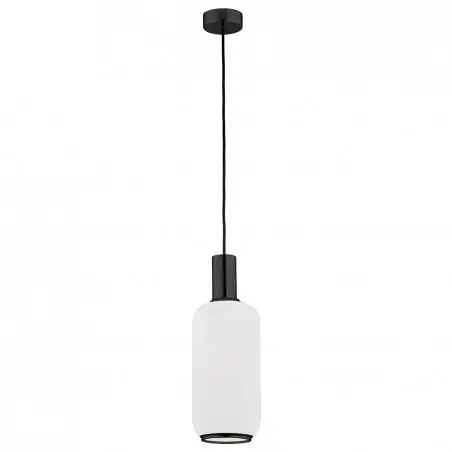 SAGUNTO PLUS 8563 lampa wisząca 1 pł. Argon