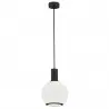 SAGUNTO PLUS 8564 lampa wisząca 1 pł. Argon