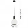 SAGUNTO PLUS 8564 lampa wisząca 1 pł. Argon