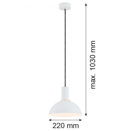 SINES 4220 lampa wisząca 1 pł. Argon