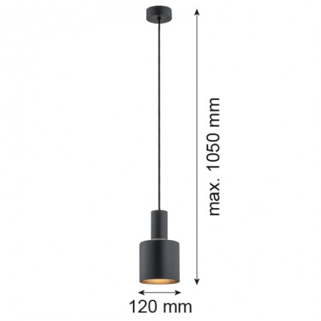 SINES 4219 lampa wisząca 1 pł. Argon