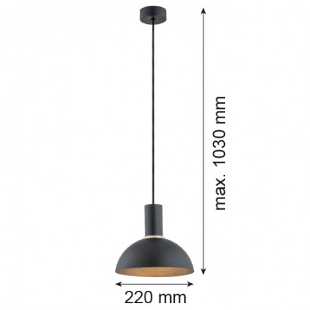 SINES 4222 lampa wisząca 1 pł. Argon