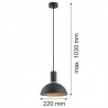 SINES 4222 lampa wisząca 1 pł. Argon