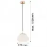 TRINI 4352 lampa wisząca 1 pł. S Argon
