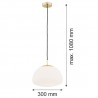 TRINI 4316 lampa wisząca 1 pł. M Argon