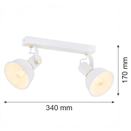 TWIST 7036 plafon 2 pł. Argon
