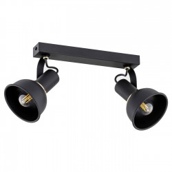 TWIST 7037 plafon 2 pł. Argon