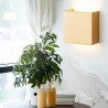 GENT 8360 plafon LED Argon