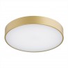 TIAMO 8349 plafon LED Argon