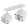 CLEVLAND 1031 BZ plafon 2 pł. Argon