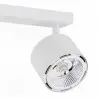 CLEVLAND 1031 BZ plafon 2 pł. Argon