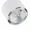 CLEVLAND 1031 BZ plafon 2 pł. Argon
