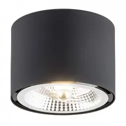 CLEVLAND 4691 BZ plafon 1 pł. Argon
