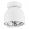 GARLAND 4710 BZ plafon 1 pł. Argon