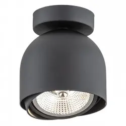 GARLAND 4711 BZ plafon 1 pł. Argon