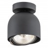 GARLAND 4711 BZ plafon 1 pł. Argon