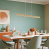 BALANS 8306 lampa wisząca 1 pł. Argon