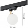 BANG 4307 reflektor 1 pł. Argon