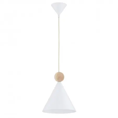 KEGEL 8629 lampa wisząca 1 pł. M Argon