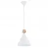 KEGEL 8629 lampa wisząca 1 pł. M Argon