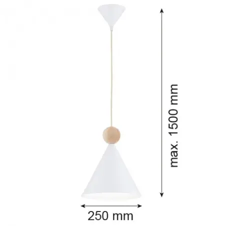 KEGEL 8629 lampa wisząca 1 pł. M Argon