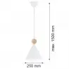 KEGEL 8629 lampa wisząca 1 pł. M Argon